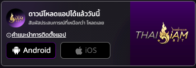 Bord-game-thaisiambet